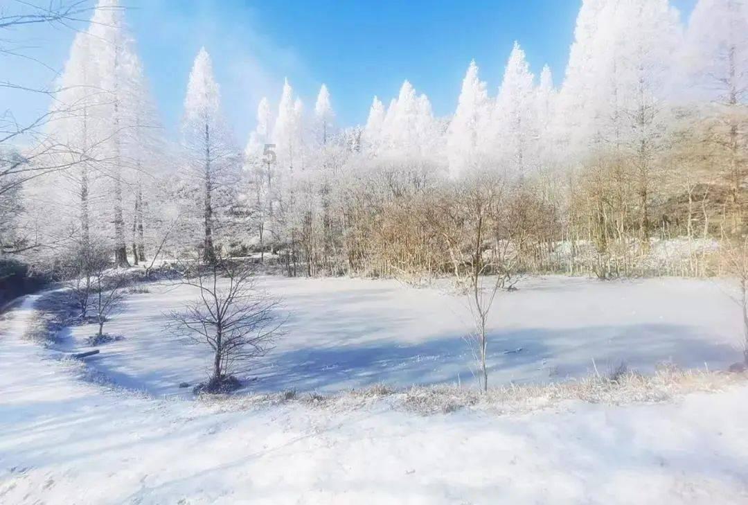 暗黑地牢